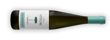 VITESE Sauvignon Blanc